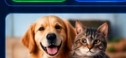 Pet Shop Feliz